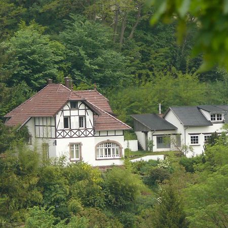 La Dependance De La Villa Des Oiseaux - La Petite Pierre エクステリア 写真