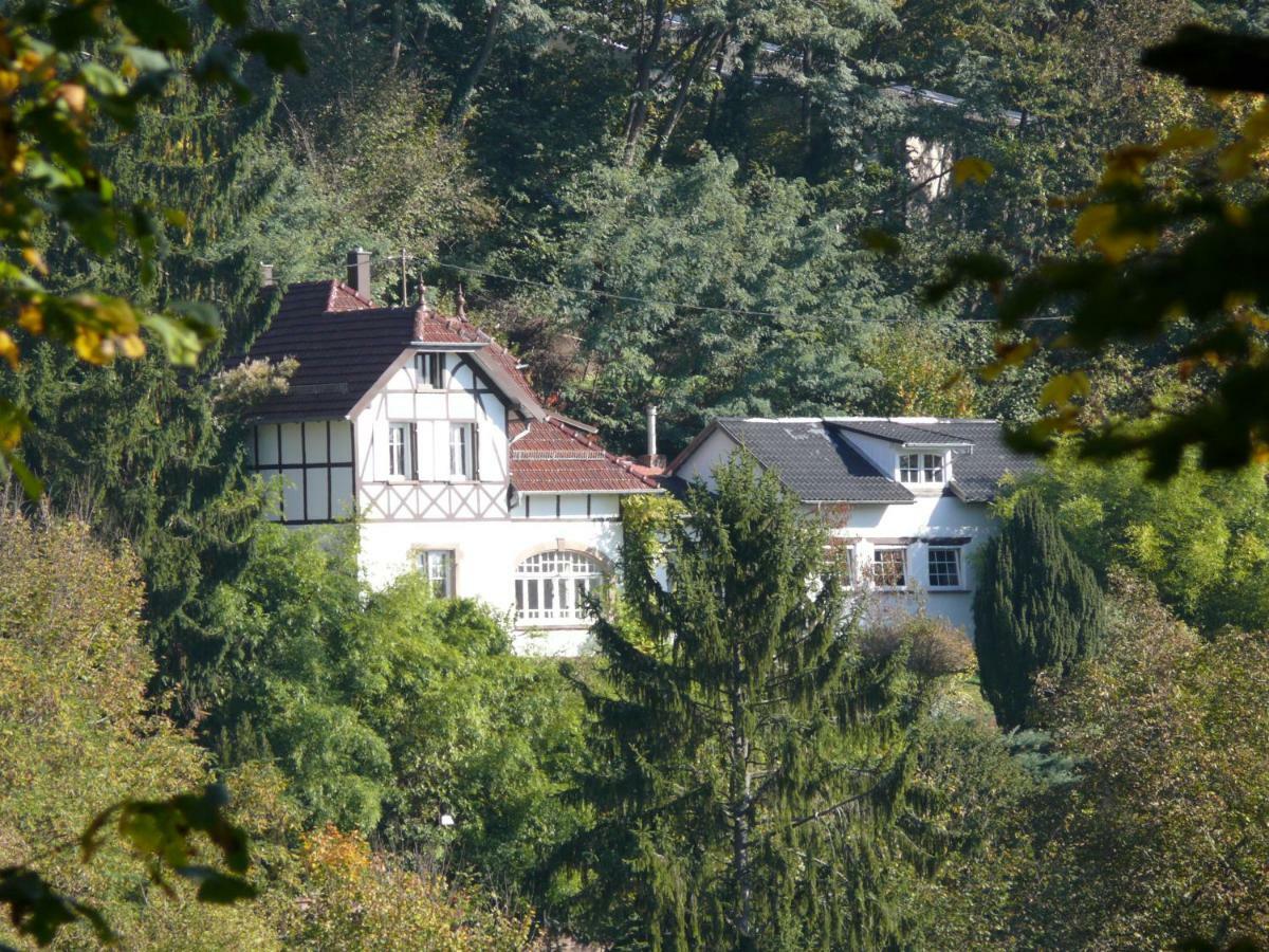 La Dependance De La Villa Des Oiseaux - La Petite Pierre エクステリア 写真